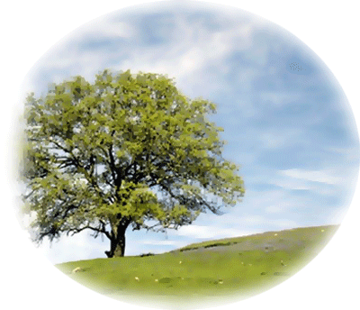 arbre-47.gif