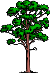 arbre-54.gif