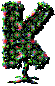 arbre-5546-11.gif