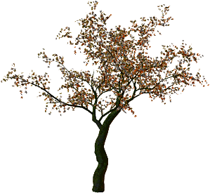 arbre-956.gif