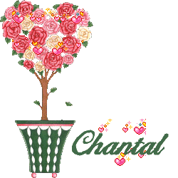 arbuste_stvalentin_chantal.gif