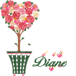 arbuste_stvalentin_diane.gif