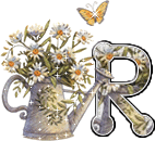 arro-54554667-18.gif