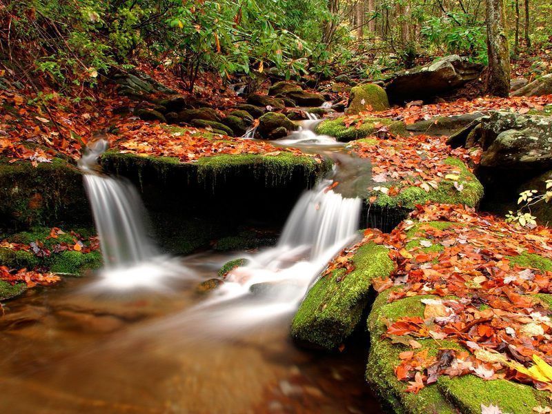 automne-fond-ecran-ruisseau-foret.jpg