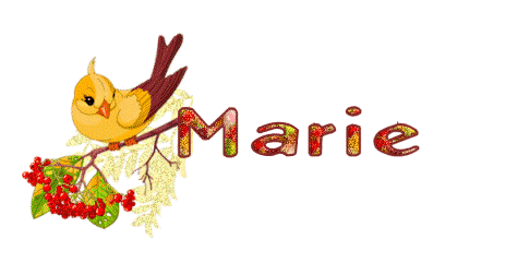 automne_oiseau_marie.gif