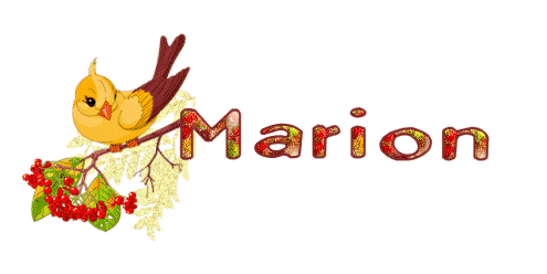 automne_oiseau_marion.gif