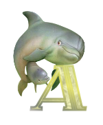 baleine-433443344334-1.png