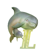 baleine-433443344334-12.png