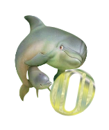 baleine-433443344334-15.png