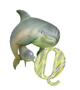 baleine-433443344334-17.png