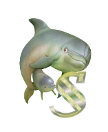 baleine-433443344334-19.png