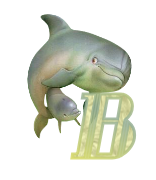 baleine-433443344334-2.png