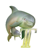 baleine-433443344334-20.png