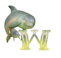 baleine-433443344334-23.png