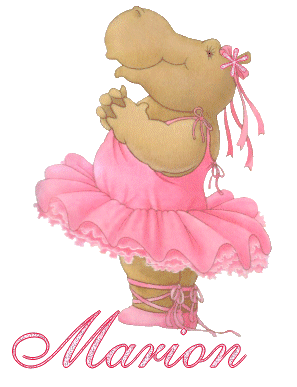 ballerine_hippo_marion.gif