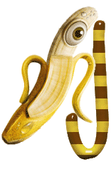 banane-999-10.gif