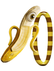 banane-999-15.gif