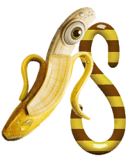 banane-999-19.gif