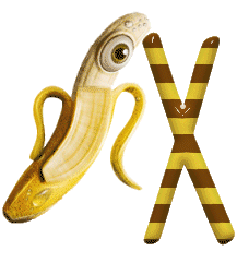banane-999-24.gif