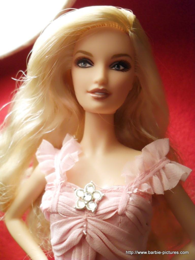 barbie-1454589343898934892398438958552.png