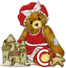 beachbearswt_C_1.jpg