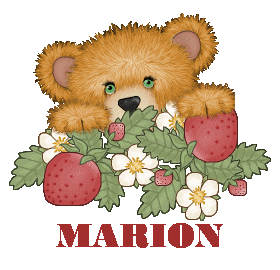bel_oursonetfraises_marion.gif