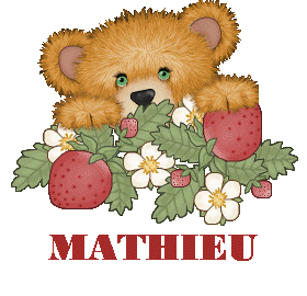 bel_oursonetfraises_mathieu.gif