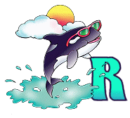 beluga-767766776-18.gif