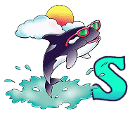beluga-767766776-19.gif
