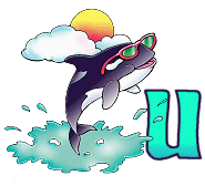 beluga-767766776-21.gif