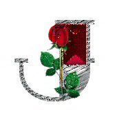 bijou-4334433444-10.jpg