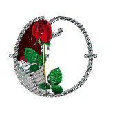 bijou-4334433444-15.jpg