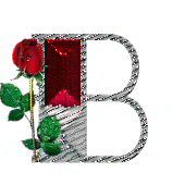 bijou-4334433444-2.jpg