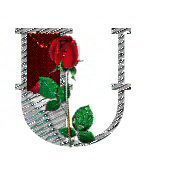 bijou-4334433444-21.jpg