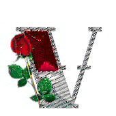 bijou-4334433444-22.jpg