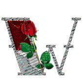 bijou-4334433444-23.jpg