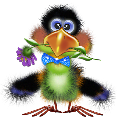 bird-clipart_1.png