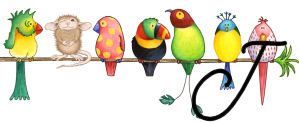 bird3420202002-10.jpg