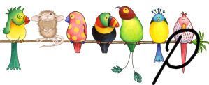 bird3420202002-16.jpg