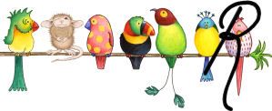 bird3420202002-18.jpg