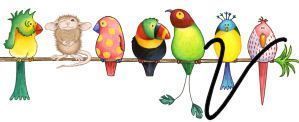 bird3420202002-22.jpg