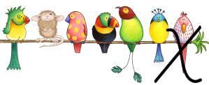 bird3420202002-24.jpg