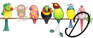 bird3420202002-4.jpg