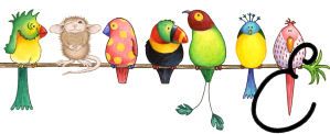 bird3420202002-5.jpg