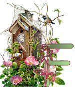 birdhouse-11.jpg