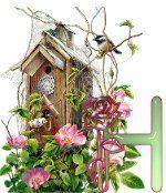 birdhouse-15.jpg