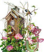 birdhouse-19.jpg