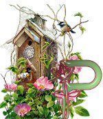 birdhouse-31.jpg