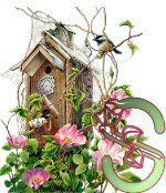 birdhouse-37.jpg