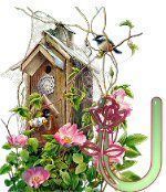 birdhouse-41.jpg